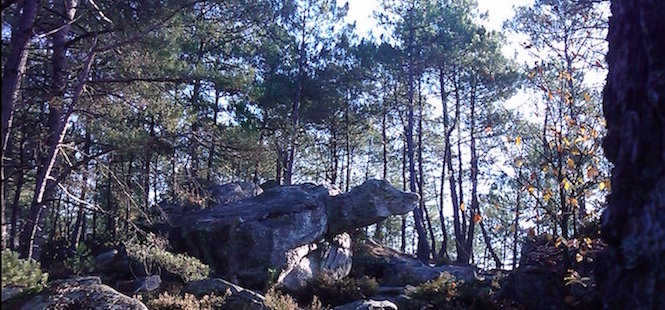 forêt Fontainebleau